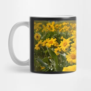 A beautiful meadow of yellow flowers Mug